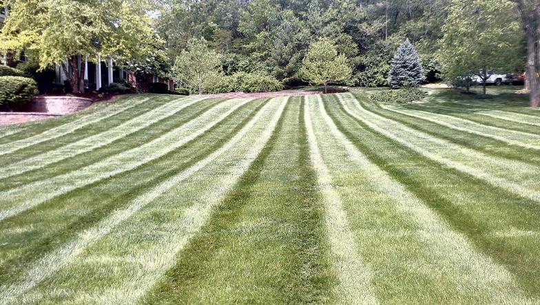 Photo-Gallery Lawn Striping - Photo-Gallery
